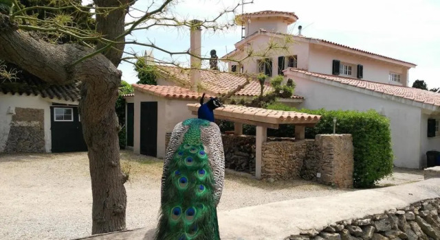 Villa Villa Son Temet