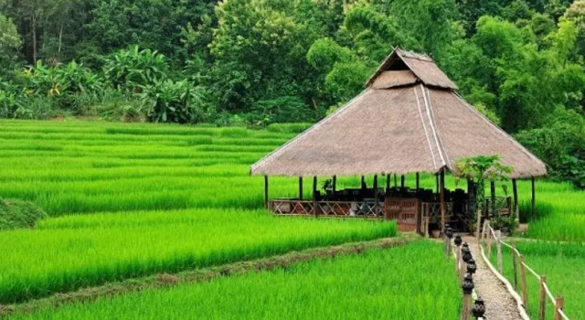 Kamu Lodge