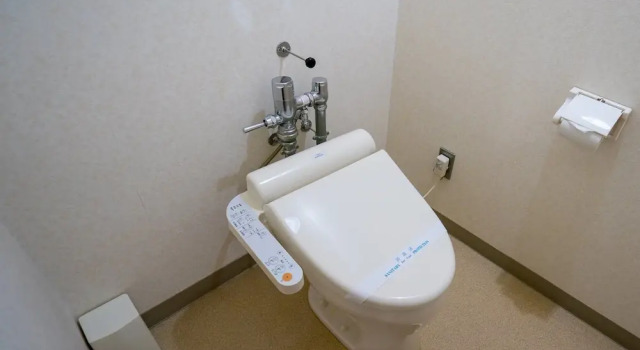 Номер Standard Sunflower Park Hotel Hokuryu Onsen