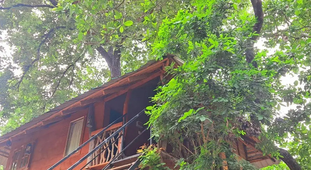 Bed & Bicycle Hostel Dambulla