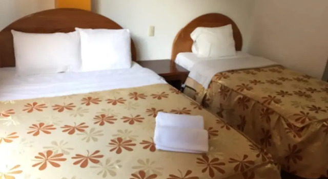 Hostal Bromelias 2