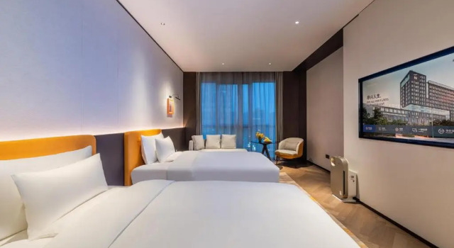 Двухместный номер Deluxe Novotel Xian Xixian西安西咸诺富特酒店