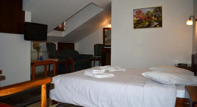 Hotel Adonis, Book Hotel Metsovo 