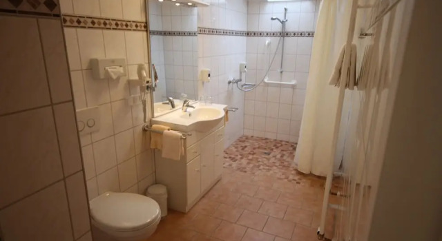 Одноместный номер Standard Bad Pyrmonter Hof