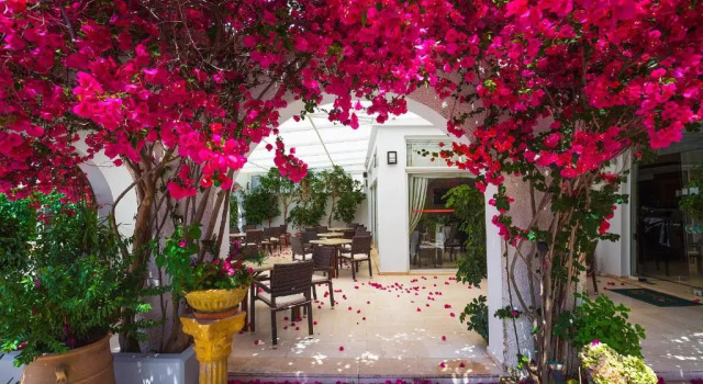 Номер Economy Kyparissia Beach Hotel