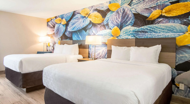 Четырёхместный номер Standard Clarion Pointe South Boston - Danville East