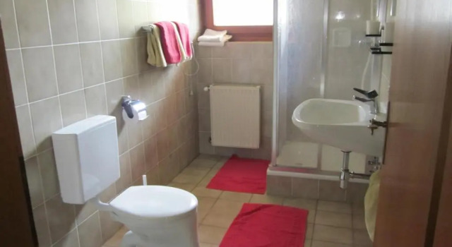 Апартаменты Ferienwohnung Moser am See