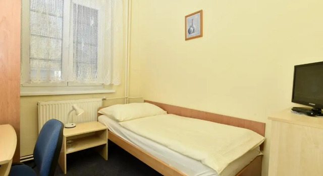 Номер Standard Hotel U Jezírka