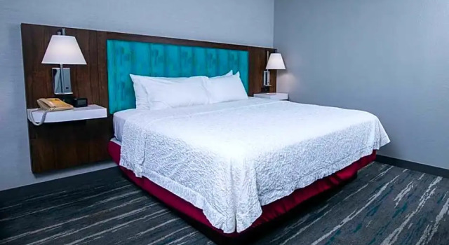 Двухместный люкс c 1 комнатой Hampton Inn Pickwick Dam-At Shiloh Falls