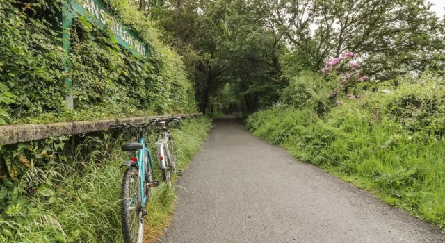 The Halt, Bodmin
