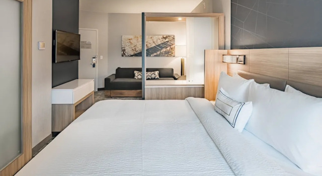 Двухместный люкс Standard SpringHill Suites by Marriott Dallas McKinney