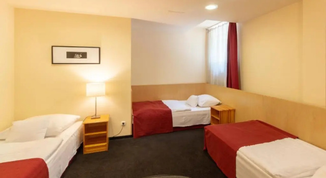 Номер Economy Hotel Laterum