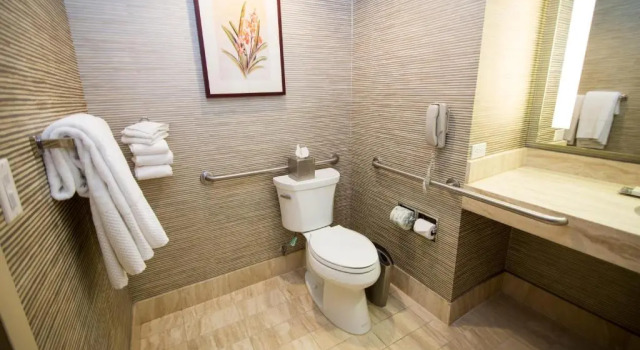 Двухместный номер Accessible Hilton Los Angeles-Universal City