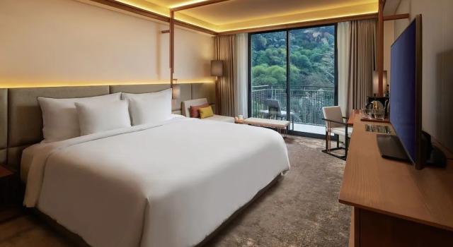 Standard double club chambre avec balcon et Vue jardin The Gaia Hotel Bandung