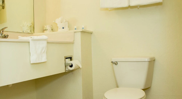 Люкс Deluxe Sands Inn & Suites