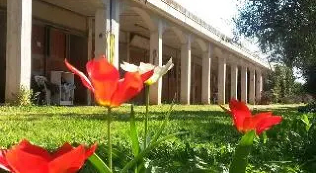 Agriturismo Le Vedute, Book Hotel Bisceglie Apulien