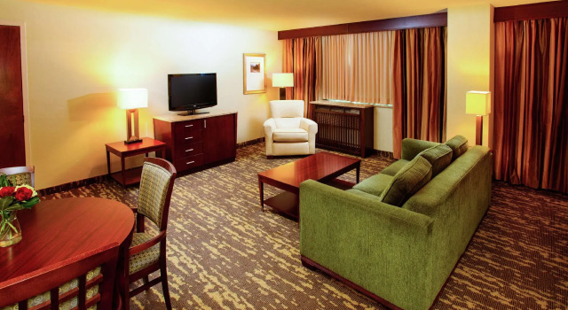 Двухместный полулюкс DoubleTree by Hilton Rochester - Mayo Clinic Area
