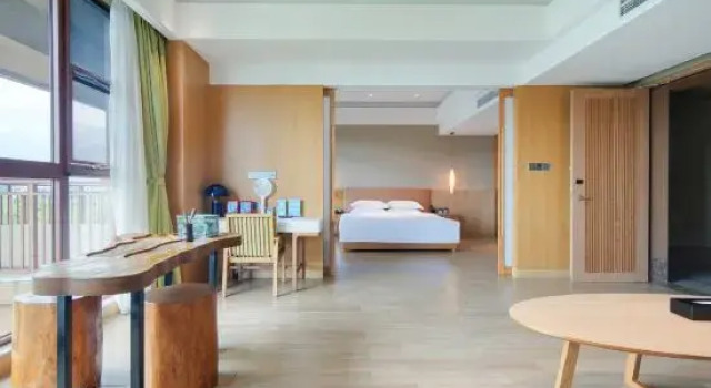 Одноместный люкс Skov River Resort