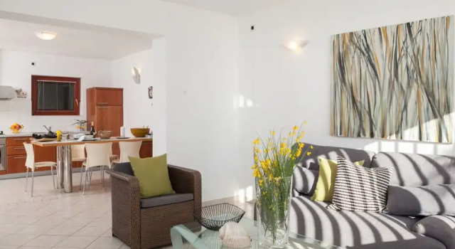 Apartment Ivanka