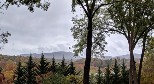 Номер Standard Biltmore Village Inn B&B