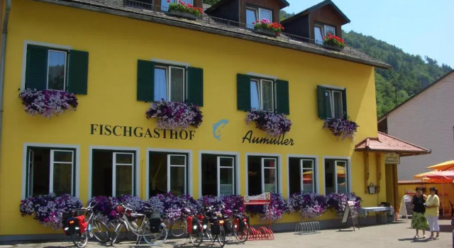 Двухместный номер Standard Fischgasthof Aumüller