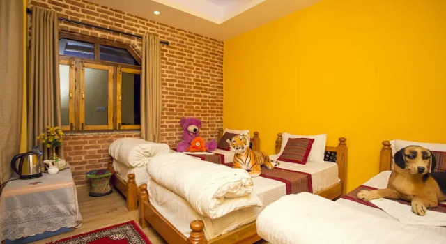 Номер Deluxe Blue Mountain Home Stay