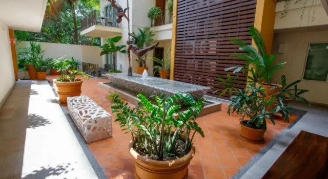 V177 207 by RedAwning, Book Hotel Hotels in Jalisco with a Pool, Swimming Pool