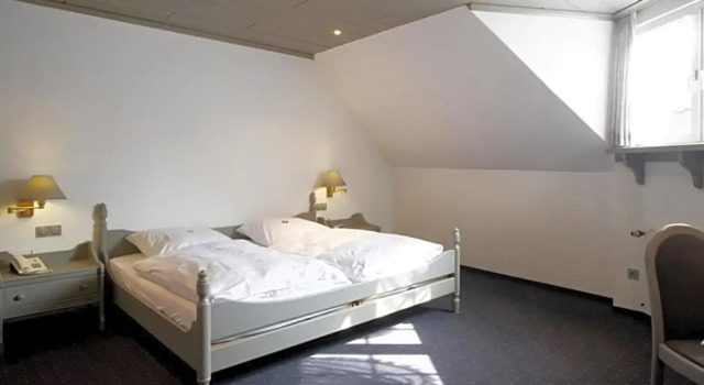 Номер Standard Hotel Goldener Stern