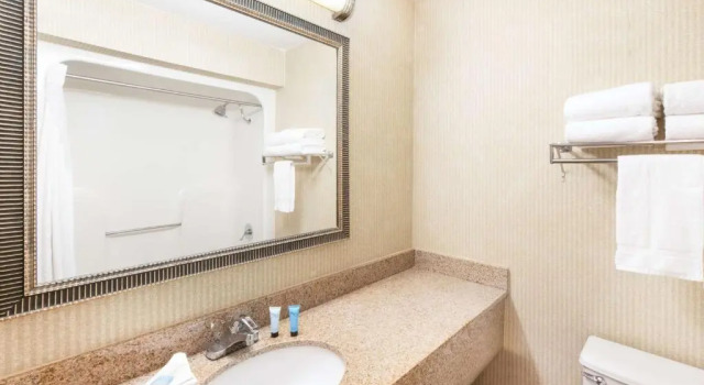 Номер Standard Aviator Hotel & Suites, Best Western Signature Collection