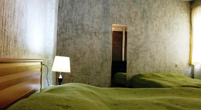 David Mikadze's Apartment 1
