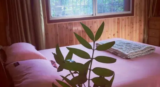 Люкс Business Peach Blossom Yuanyanhuang Villa