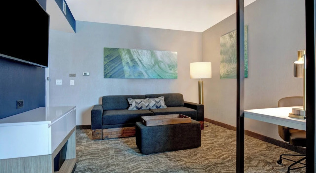 Люкс SpringHill Suites by Marriott Orangeburg