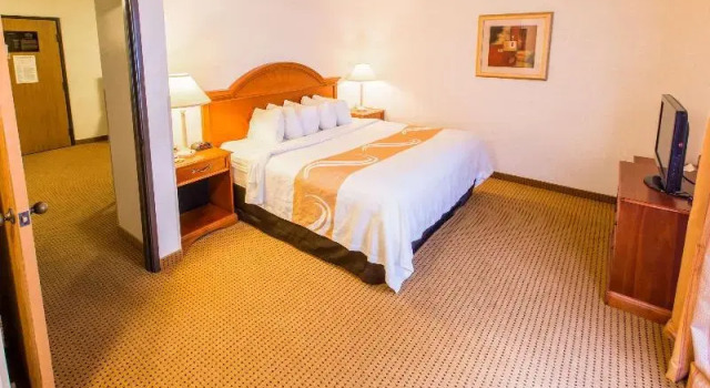 Люкс Quality Inn & Suites University