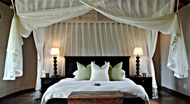 Hlosi Game Lodge - Amakhala Game Reserve, Buchen Sie Pension Paterson Alexandria