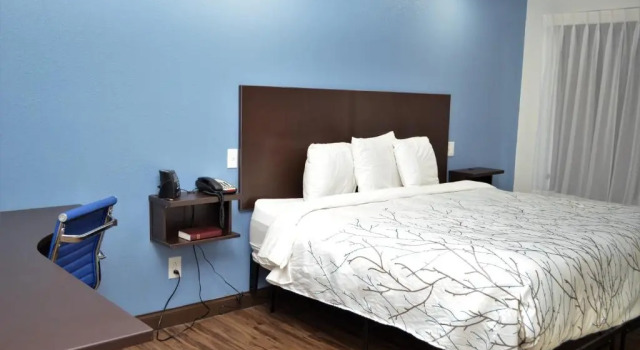 Номер Standard Athena Inn Chattanooga
