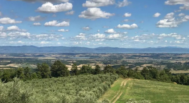 Номер Standard Borgo Poggio Bianco