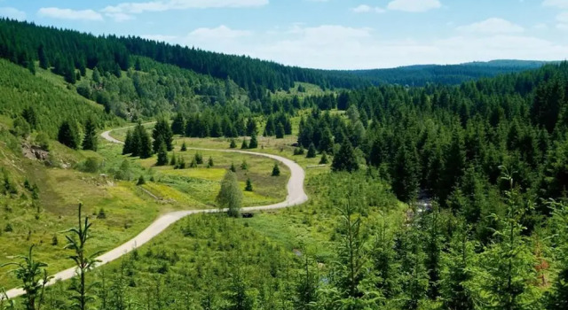 Номер Standard Hotel Schwarzbeerschänke Pobershau