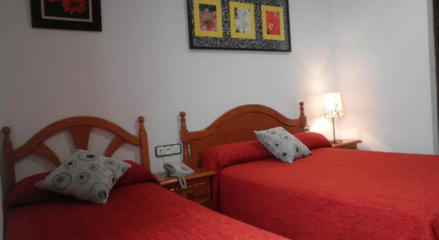 Трёхместный номер Standard Hotel Oasis