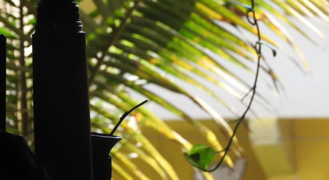 Tiki Trip Montanita, Prenota Hotel Montanita 