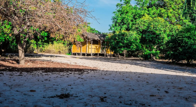 Семейный номер Standard Bonobo Lodge