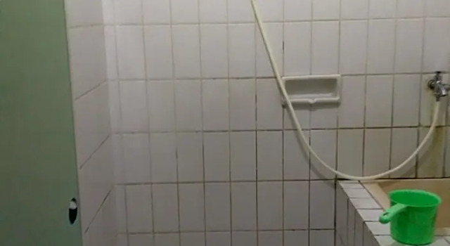 Economy Zimmer Griya Palayu
