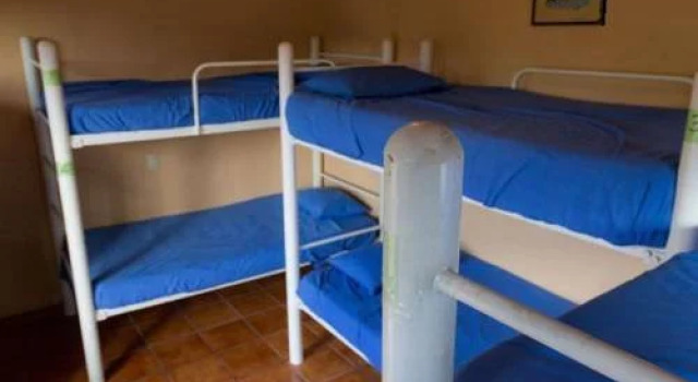 Oasis Hostel, Book Hostel / Vandrerhjem Hostels i Jalisco, Hostel / Vandrerhjem