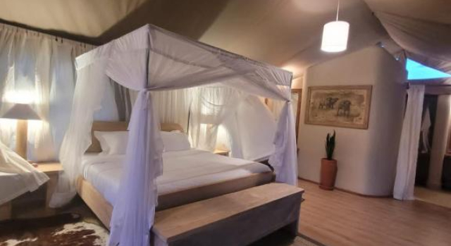 Номер Standard Mara Maisha Camp