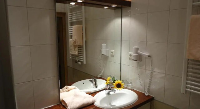 Двухместный номер Standard Gasthof-Hotel Dilger