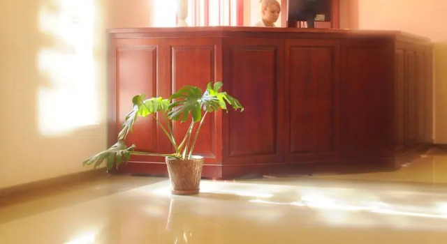 Domashnij Ujut Deljuks, Book Hotel Krivoy Rog Dnipropetrovsk Region