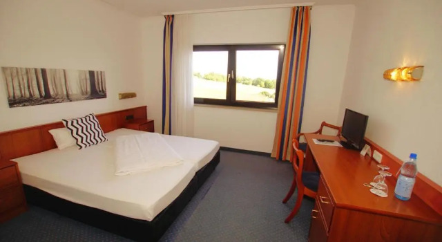 Двухместный номер Standard Hotel Tannenhof Haiger