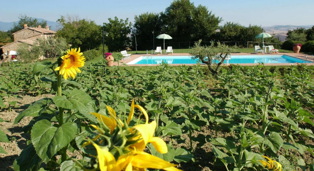 Коттедж Cosy Farmhouse in Proceno with Swimming Pool