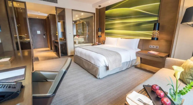Двухместный номер Standard Marco Polo Ortigas Manila