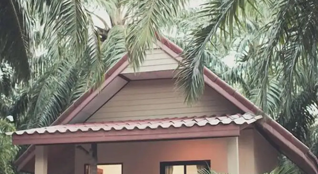 Бунгало Palm Garden Resort