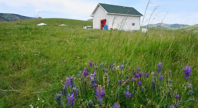 My Mongolia Eco Ger Camp, Buchen Sie Campingplatz Terelj Mongolei